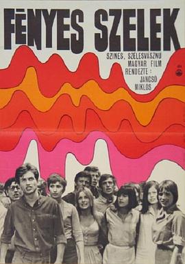 闪耀之风封面图