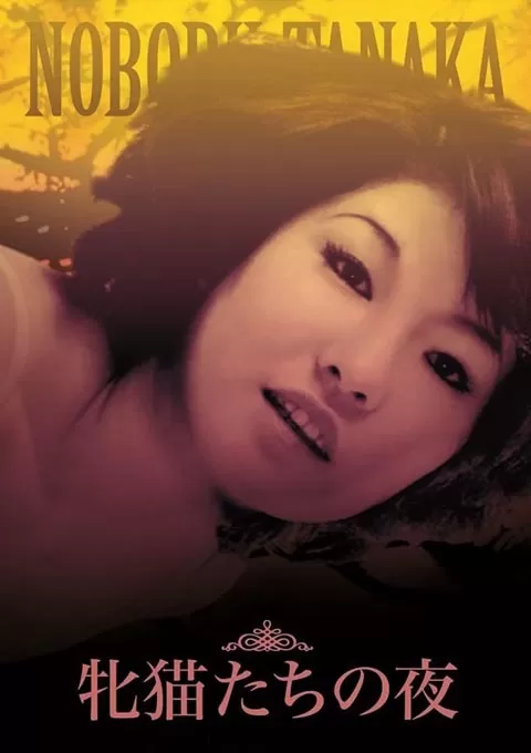 性感野猫之夜封面图