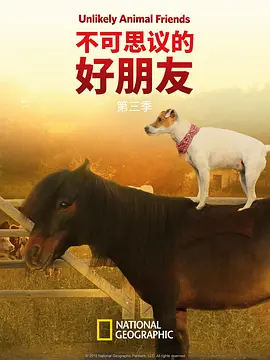 不可思议的好朋友 第三季封面图