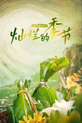 灿烂的季节封面图