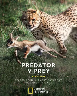 掠食者联盟 第一季封面图