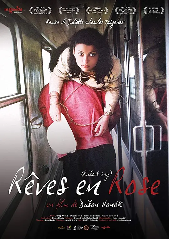 玫瑰色的梦封面图