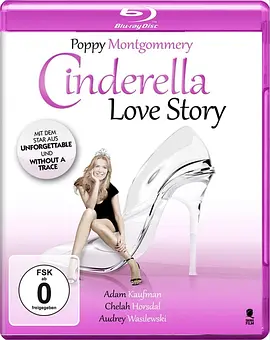 完美的谎言封面图