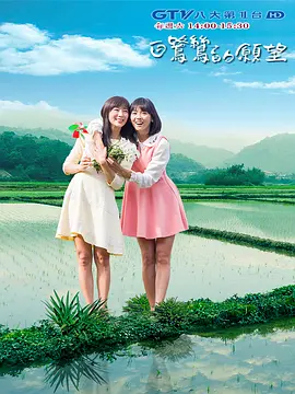 白鹭鸶的愿望封面图