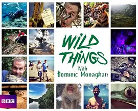 玩命全接触 第二季封面图