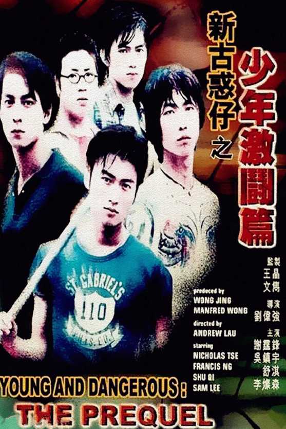 新古惑仔之少年激斗篇封面图