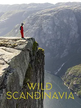 野性斯堪的纳维亚 第一季封面图