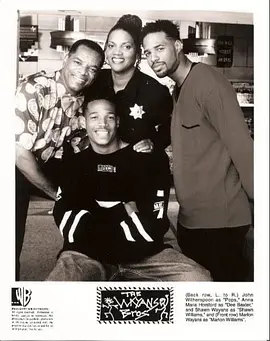 韦恩斯兄弟封面图