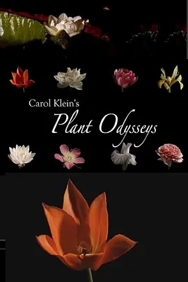 卡罗尔·克莱恩的植物巡礼封面图