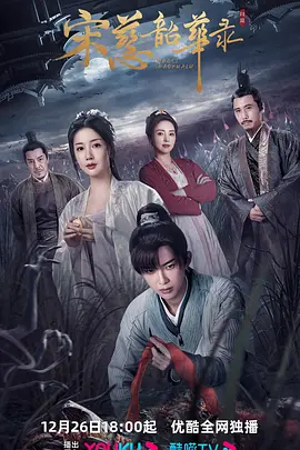 宋慈韶华录封面图