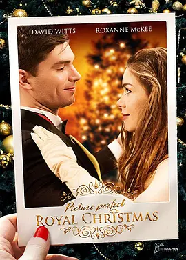 Picture Perfect Royal Christmas封面图
