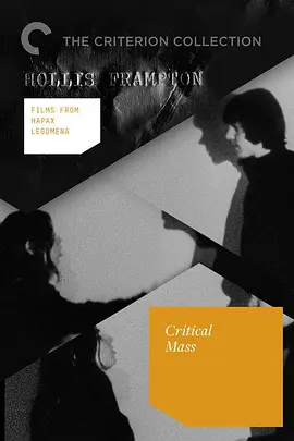 一次频词3：临界质量封面图