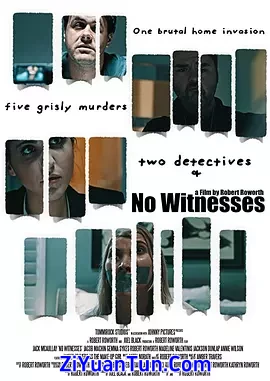 No Witnesses封面图