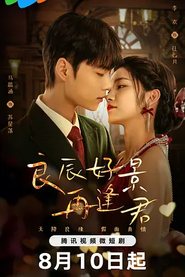 良辰好景再逢君封面图