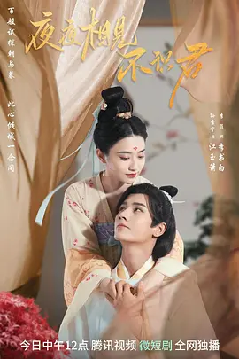 夜夜相见不识君封面图