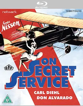 间谍情仇封面图