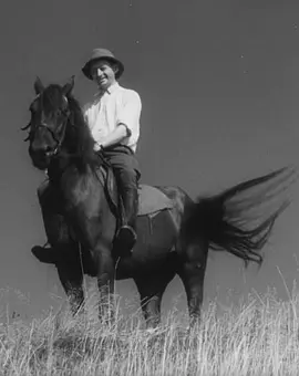 会有云开时封面图