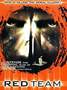 红色代码封面图