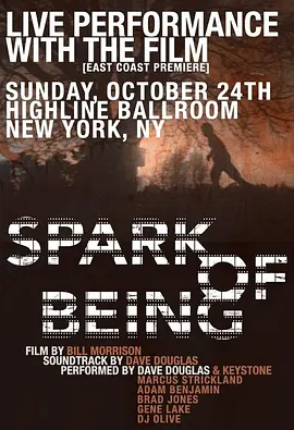 存在的火花封面图