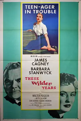 锦绣年华封面图