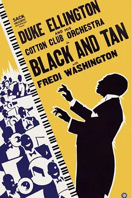 黑色与褐色封面图