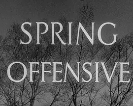 Spring Offensive封面图