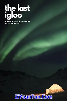 最后的冰屋封面图