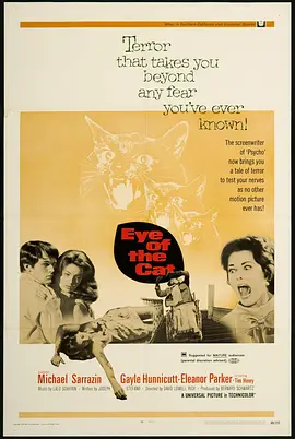 猫儿擒凶记封面图