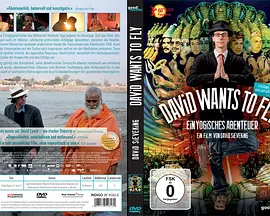 想飞的大卫封面图