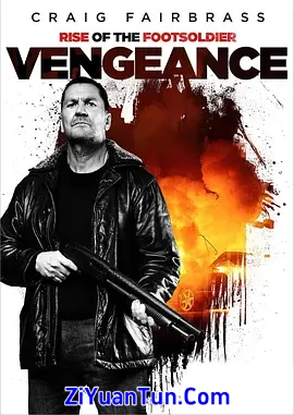 Rise of the Footsoldier: Vengeance封面图