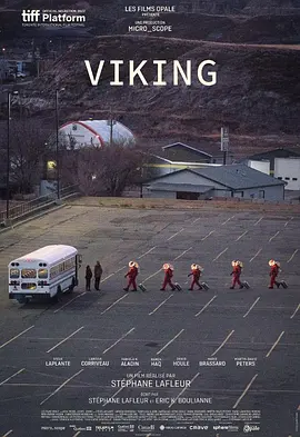 维金探测器封面图