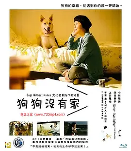 为你取名的那一天封面图