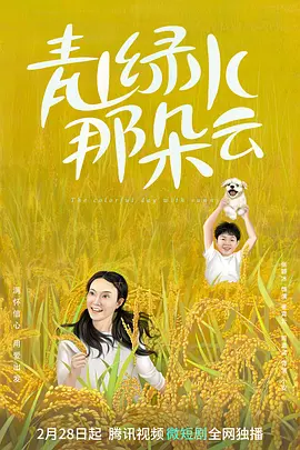 青山绿水那朵云封面图