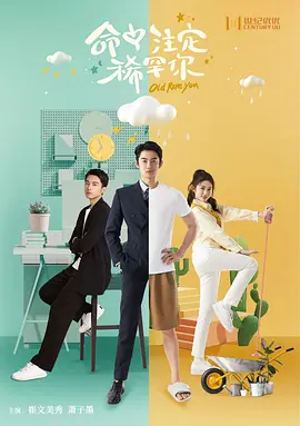 命中注定稀罕你封面图