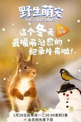 野生萌宠封面图