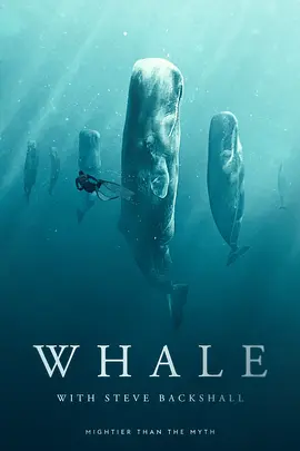 Whale with Steve Backshall Season 1封面图