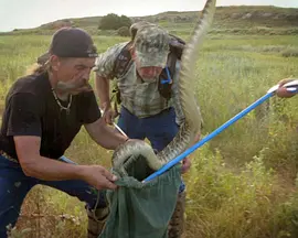 取毒高手封面图