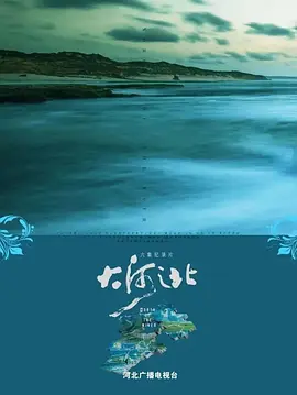 大河之北封面图