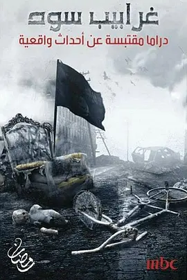 黑色乌鸦封面图