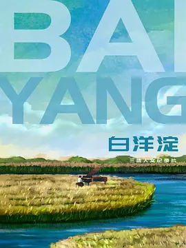 白洋淀封面图