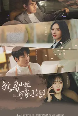 鸵鸟小姐与家政先生封面图