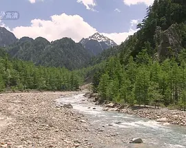 野生动物的秘密 第三季封面图