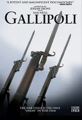 加里波利封面图