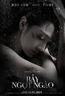 赤裸的真相封面图