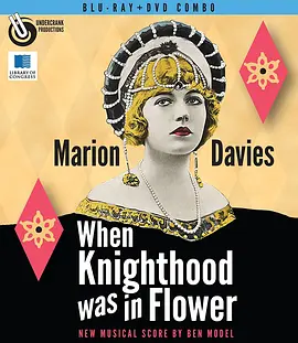 披花骑士封面图