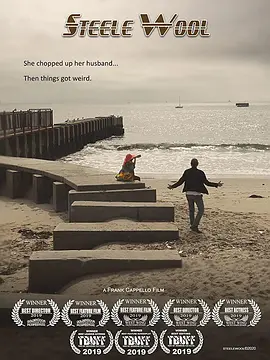 Steele Wool封面图