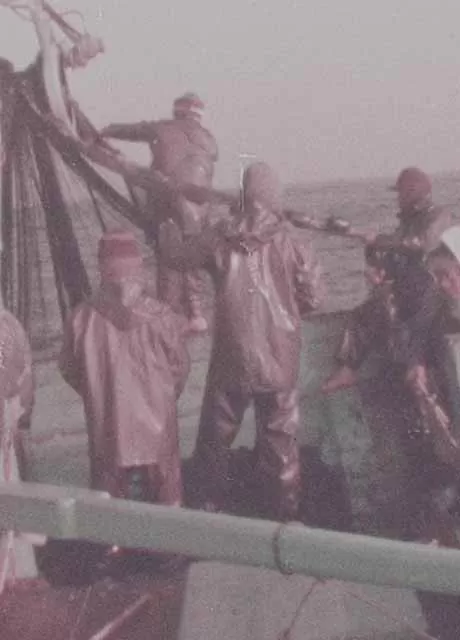 芬芳宝岛系列：乌鱼来的时候封面图