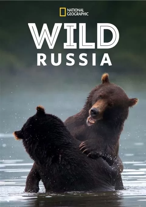 狂野俄罗斯封面图