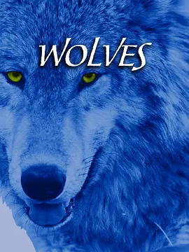 狼封面图