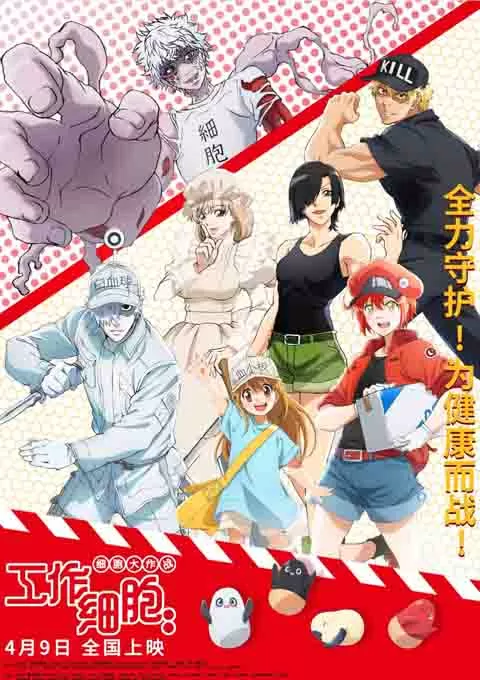 工作细胞：细胞大作战封面图